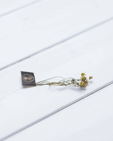 💜Sale/Le Benefique - Camomile - Box of 16 Stems
